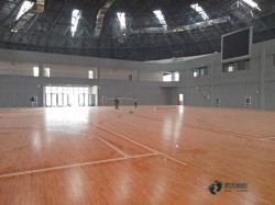 那里有體育運動地板公司