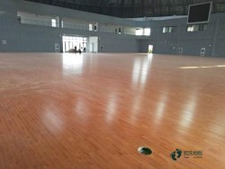 尋求運動場館地板品牌