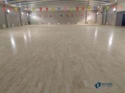 哪有籃球場地地板較好的品牌