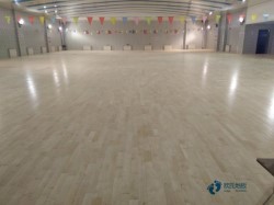 尋求運動體育地板牌子