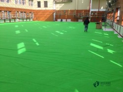 哪有籃球體育木地板哪個牌子好