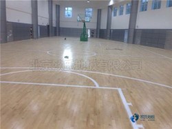 哪有籃球運動地板品牌排行榜