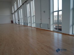 那里有運動地板公司