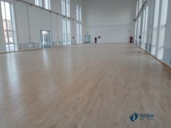 尋求運動籃球木地板品牌排行