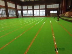 小學籃球體育木地板廠家報價