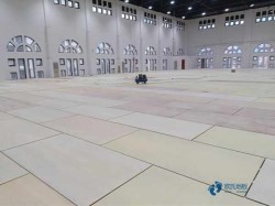 尋求籃球場地木地板哪個牌子好