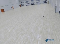 楓樺木體育館木地板保養