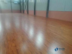 楓木體育場木地板