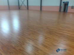 體育運動木地板聯系方式