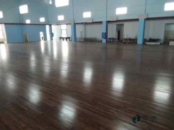 歐氏22mm厚體育場木地板