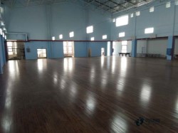 20厚運動場地木地板