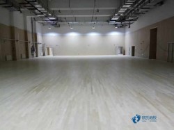 運動場館木地板哪有