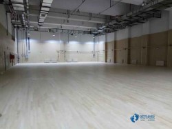 小學籃球場館木地板