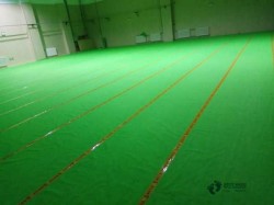 籃球運動木地板費用