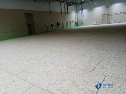 籃球場館木地板何處買