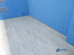 耐用籃球場館地板