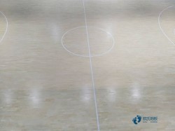 運動館木地板品牌排行榜