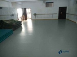 籃球場館地板十大排行