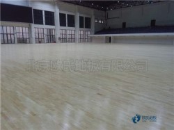 專業籃球館木地板