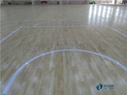 懸浮運動籃球木地板