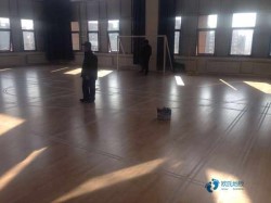 體育場地木地板費用