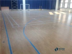 籃球館木地板企業