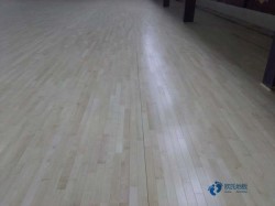 楓樺木體育場地木地板