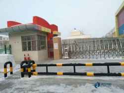 籃球木地板價格