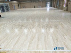 體育木地板修復