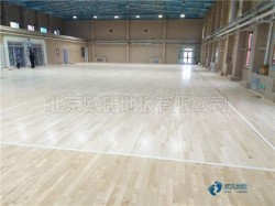 懸浮體育籃球木地板