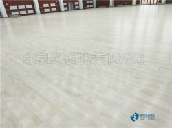 耐磨運動館木地板