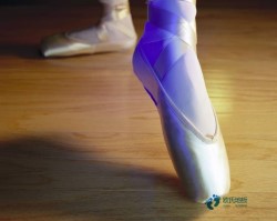 校園體育運動木地板