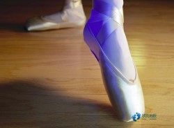 體育運動木地板廠家電話