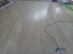 體育運動木地板價錢