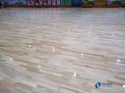 單層龍骨籃球體育木地板