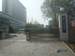 籃球木地板排名