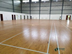 行業籃球場地木地板