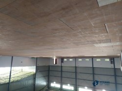 籃球體育木地板報價