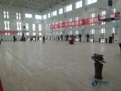 哪有體育場地地板品牌大全