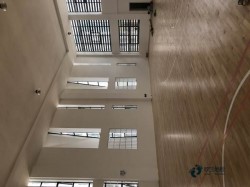 高品質籃球館木地板廠家報價