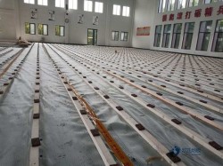 中學運動館木地板