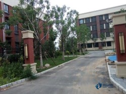 主輔龍骨運動木地板廠家報價