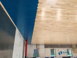 哪里有運動場地地板品牌哪個好