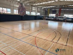 專業運動場地板廠家報價