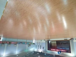 柞木體育場地木地板怎樣保養