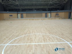 哪里有運動型地板哪個品牌好