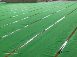 用哪種籃球場地地板安裝公司