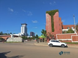 較好的體育場地木地板施工團隊