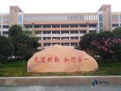 雙龍骨體育場館木地板安裝公司