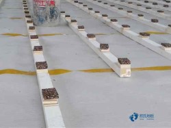 懸浮體育籃球地板施工單位